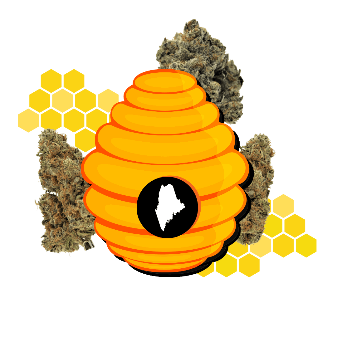 To The Farm! Maine Cannabis 04294