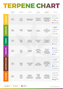 TERPENE-CHART