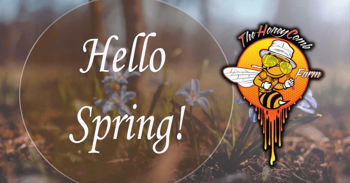Start Your Spring Off with The HoneyComb Farms