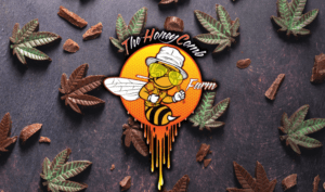 Edibles 101 A Tasting Journey Through The HoneyComb Farms' Infused Treats