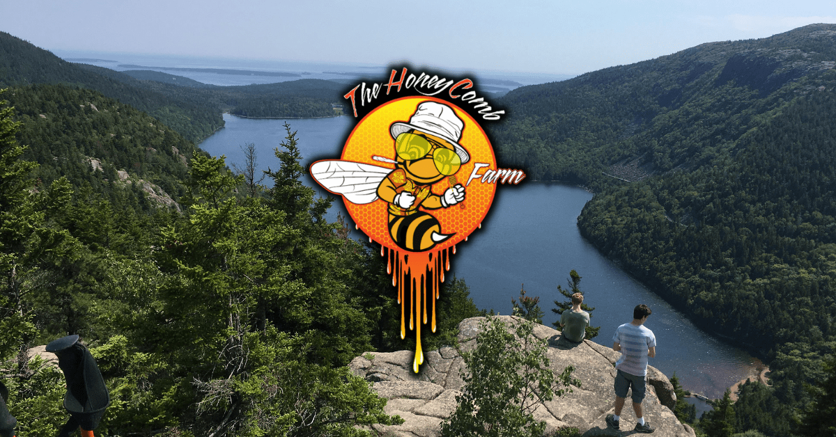 Maine Adventures & Perfect Pairings Exploring the Outdoors with The Honeycomb Farm