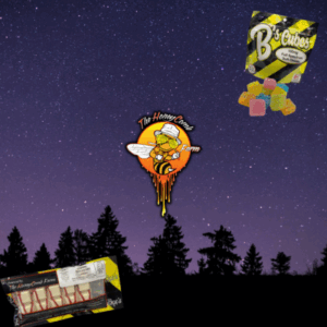 Star Gazing at Baxter State Park