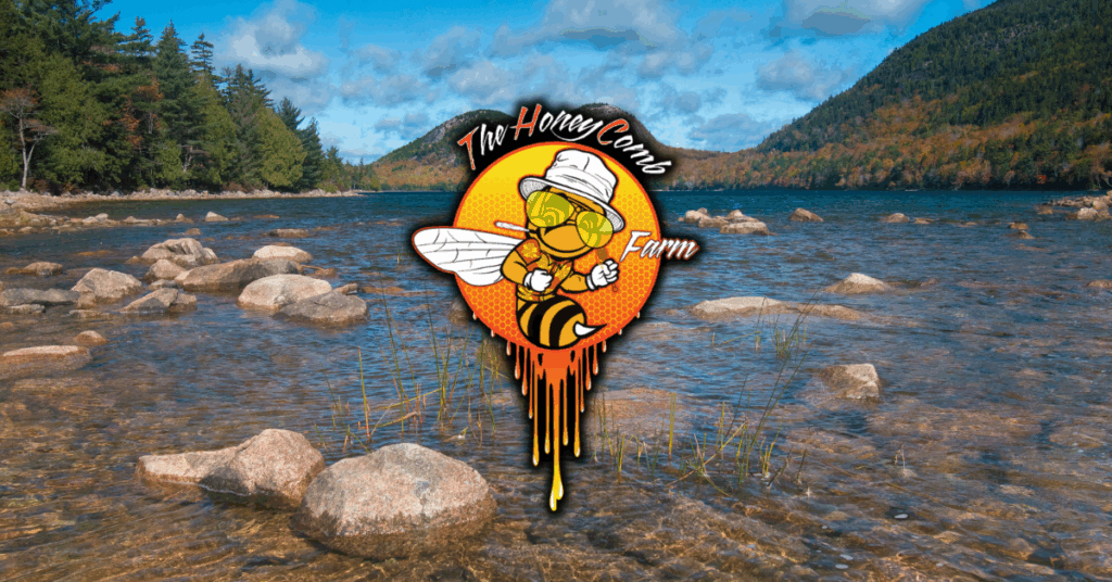 Summertime Adventures in Maine How The Honeycomb Farm’s Products Enhance Your Experience