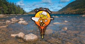 Summertime Adventures in Maine How The Honeycomb Farm’s Products Enhance Your Experience
