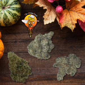 Cannabis Favorites from The Honeycomb Farm