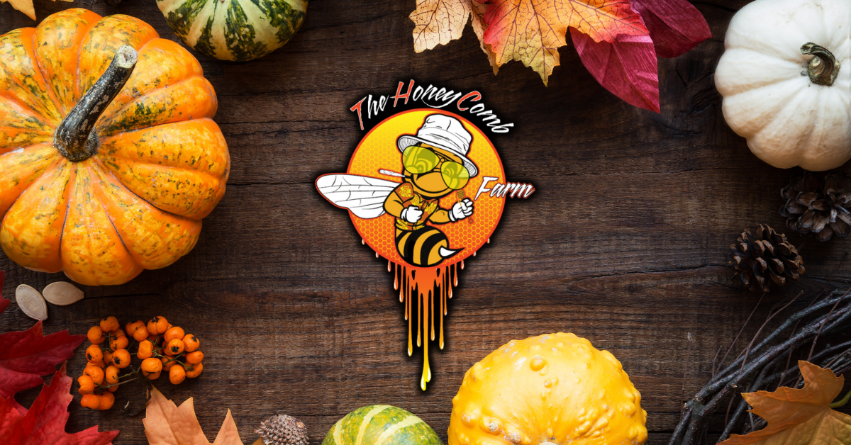 Cozy Up This November at The Honeycomb Farm